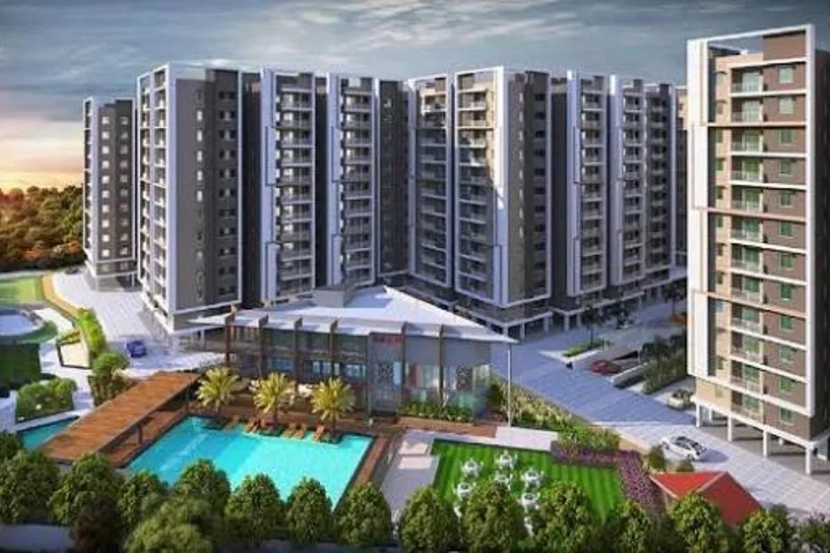 Prestige Evergreen